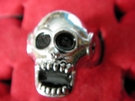 Ring skull