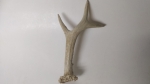 Horn