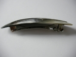Horn and pearl barrette