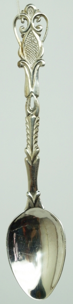 Sivler spoon