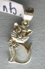 Silver cat