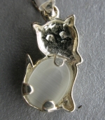 Silver cat