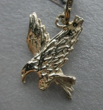 Silver eagle
