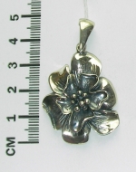 Silver pendant
