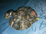 Wall ceramic small fish