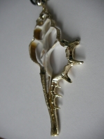 Ocean shell pendant